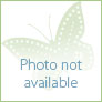 
 
 
 Au Pair in Belgrad, undetermined, Serbia looking for a job: 3776685
